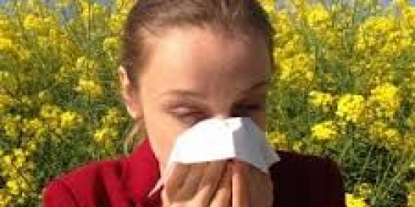 Medicina: primavera una giungla di allergie