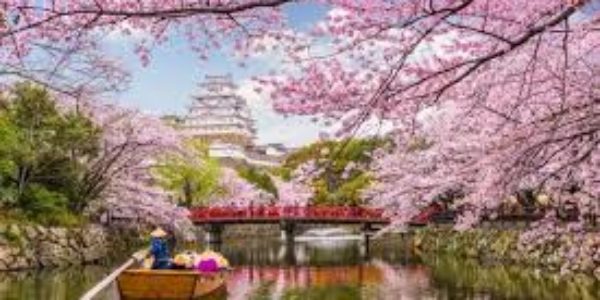 Il segreto della bellezza del Giappone: un mondo da scoprire!