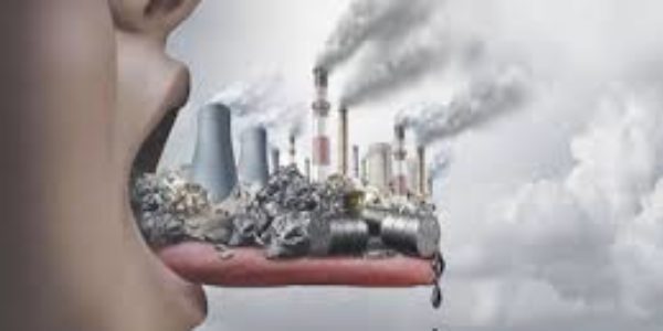 Inquinamento: cosa si può davvero fare per contrastarlo?