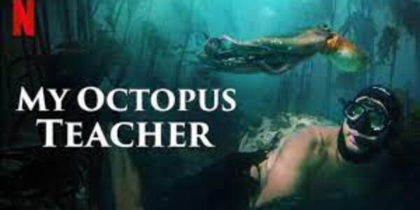 Spettacolo/Film: “My octopus teacher: quando l’amicizia non ha specie”