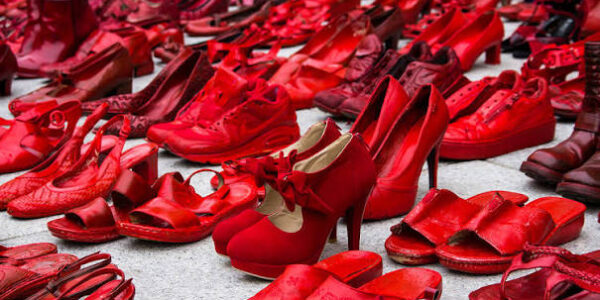 Femminicidio/”Non esiste il femminicidio: è un omicidio come gli altri” Vannacci